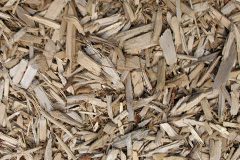 biomass boilers Oborne